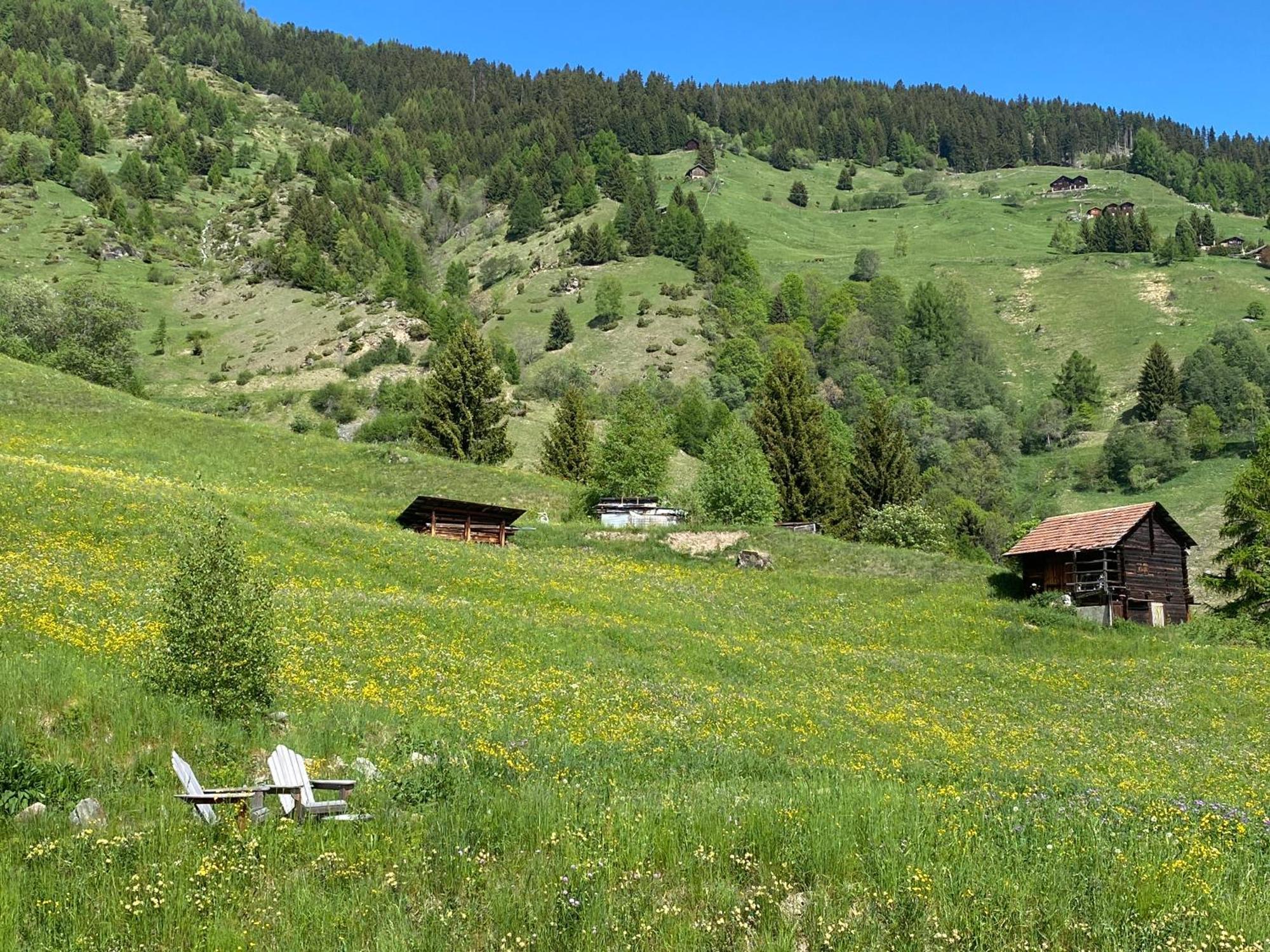 Bed and Breakfast La Cle Des Champs Heremence Экстерьер фото